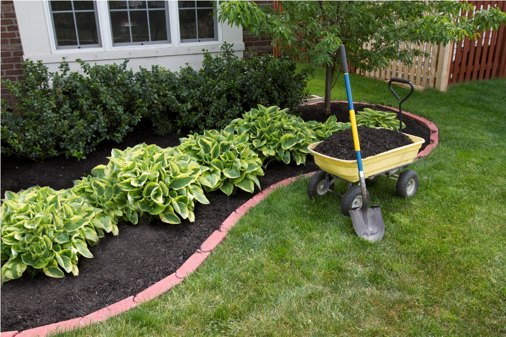 Image Pro's Completed Landscape Garden Bed